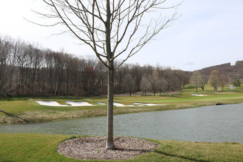 Silo Ridge Golf Course