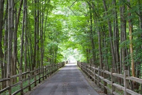 Amenia Rail Trail